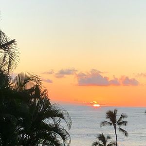 Meet your Posher, Sandy